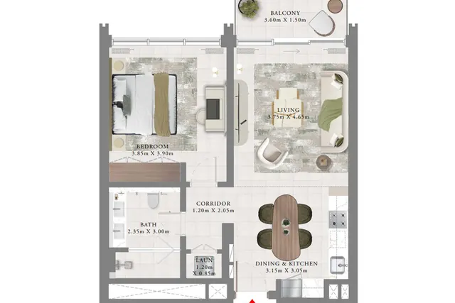 1 bedroom apartment