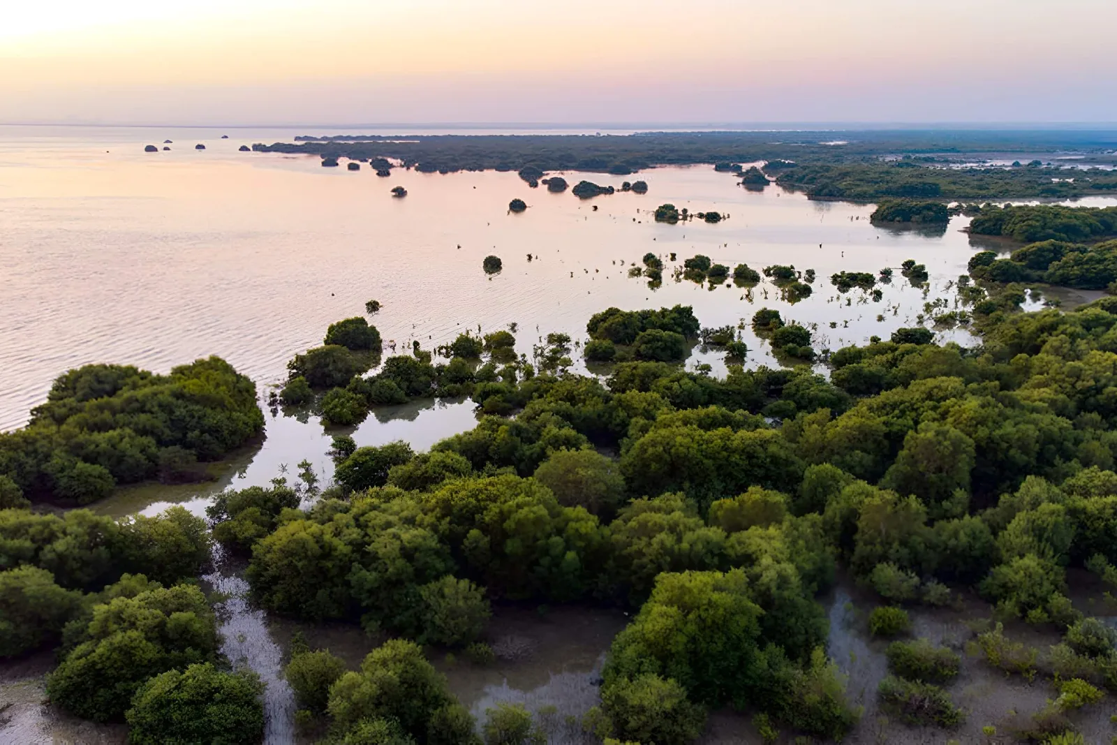 Rich natural environment and modern infrastructure