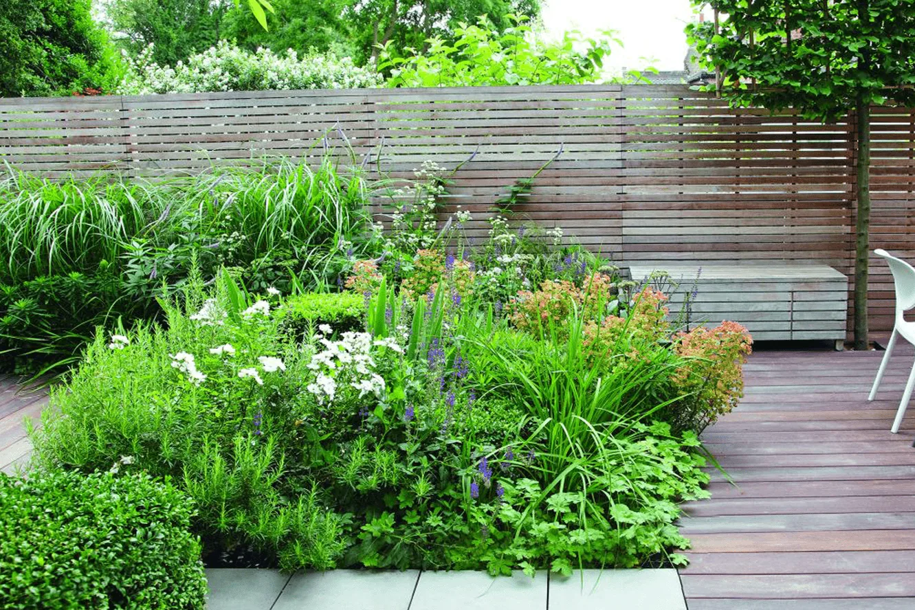 Rooftop swimming pool and green patio