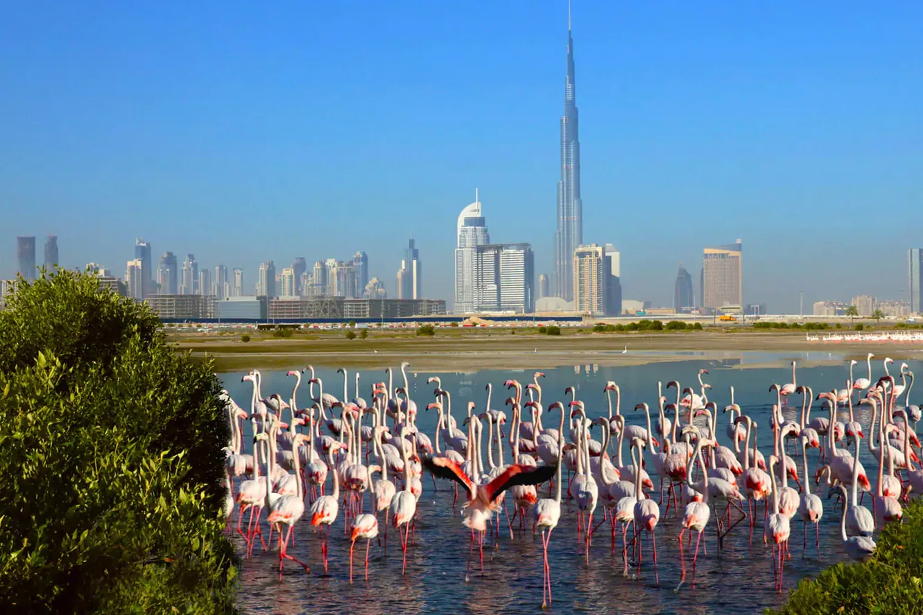 Close to wildlife sanctuary