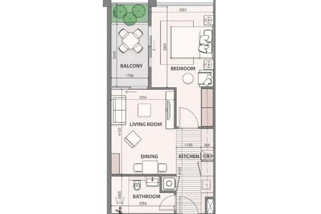 1 bedroom apartment