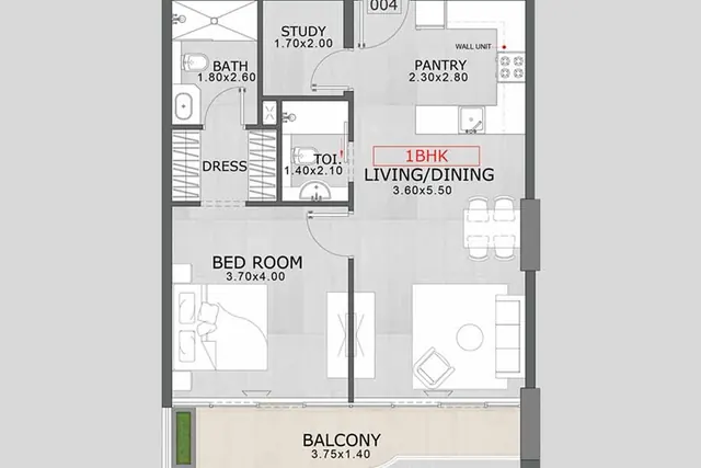 1 bedroom apartment