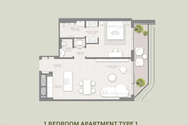 1 bedroom apartment