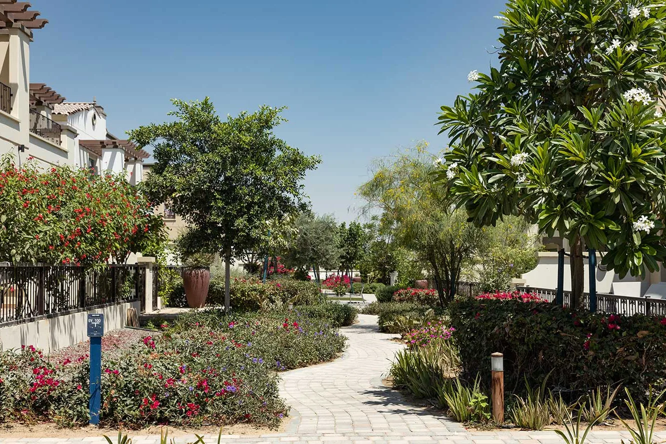 Abundance of greenery