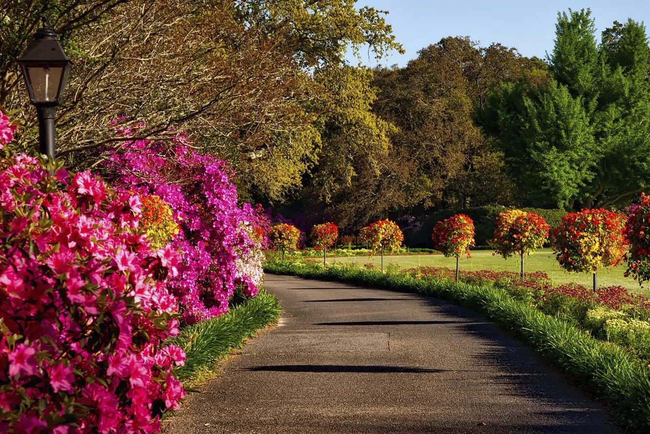 "Paradise Park"