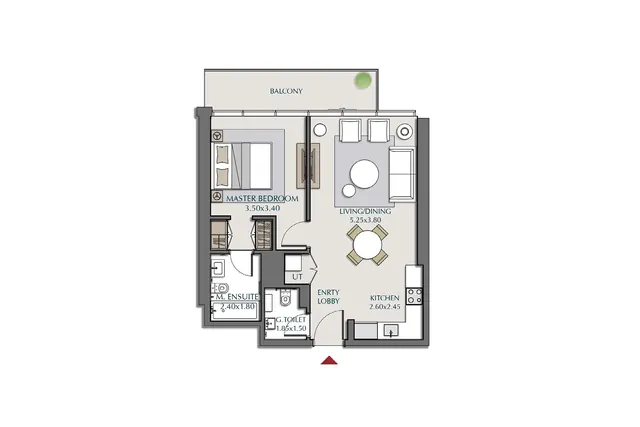 1 bedroom apartment