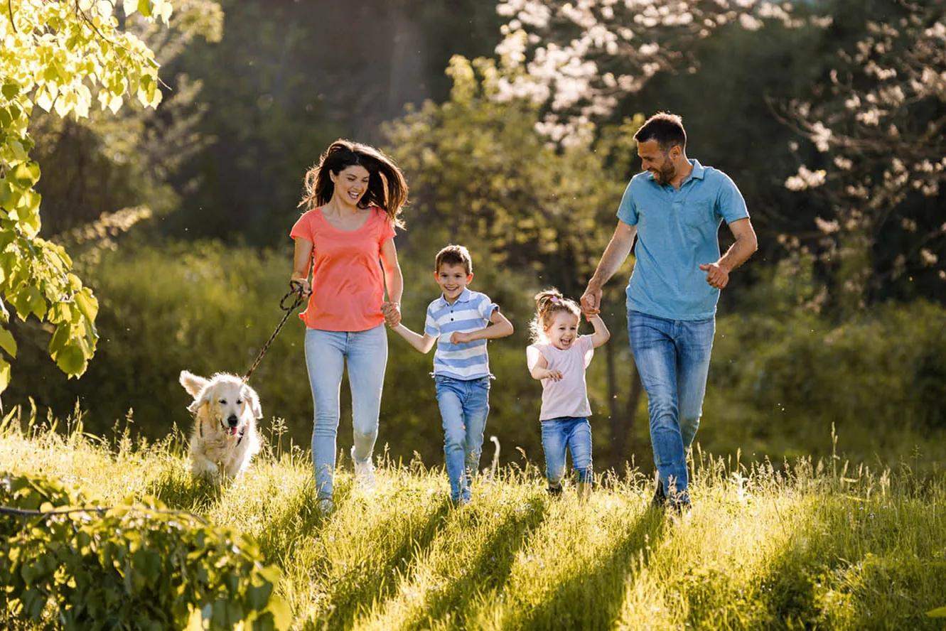 10% down payment, 4-year installment plan