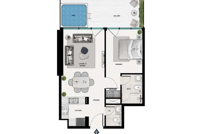 1 bedroom apartment