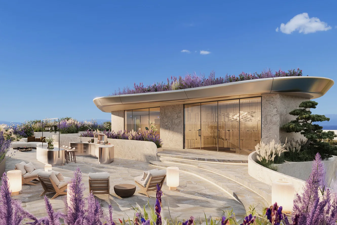 Lavender garden on the roof